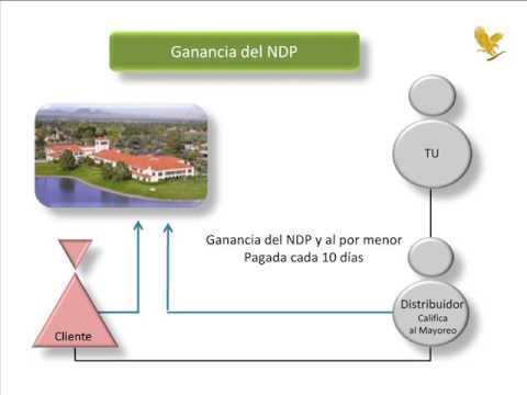 Plan de Mercadeo 1